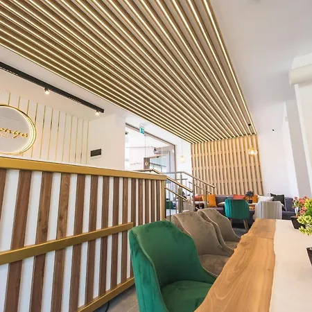 Zonya Солнечный берег