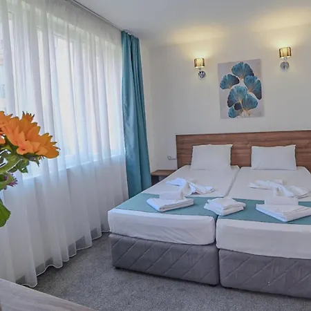 Zonya 3*