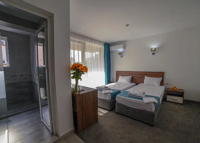 Zonya Σάνι Μπιτς